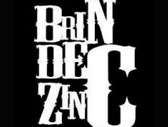 brin de zinc